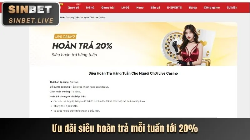 Cập nhật tính năng mới Spobet